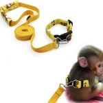 Primate® Band-O-Leash – Band and Leash for Monkey Pets