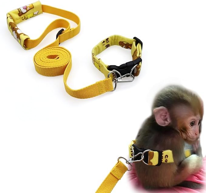 Primate® Band-O-Leash – Band and Leash for Monkey Pets